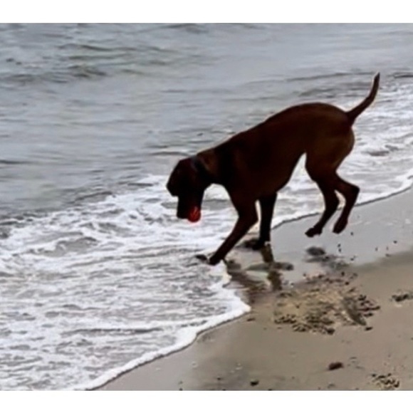 Welcome To My Plethora Of Stuff! - Picture 5 of 6